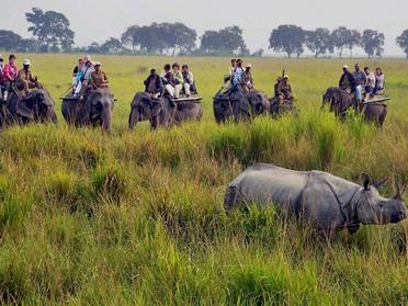 List Of National Parks In India [2021] | 22 Best National Parks