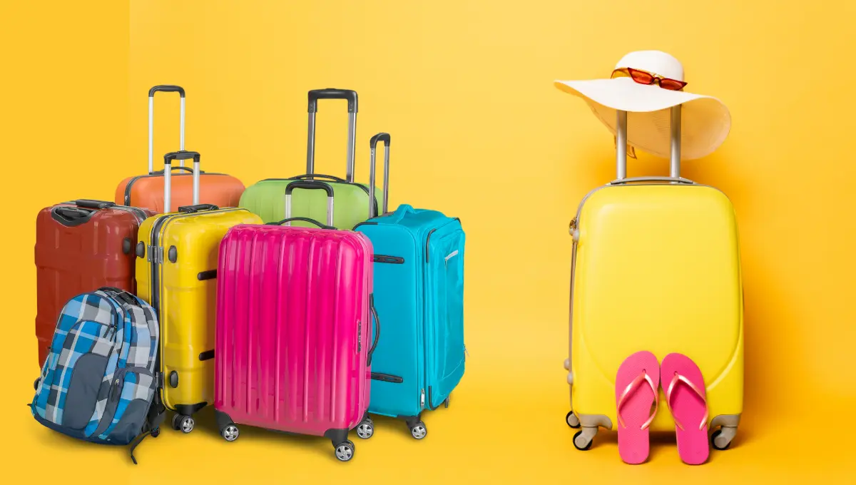 Best Checked Luggage Bags For Travel
