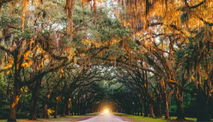 Savannah, Georgia | best honeymoon destinations in The USA 