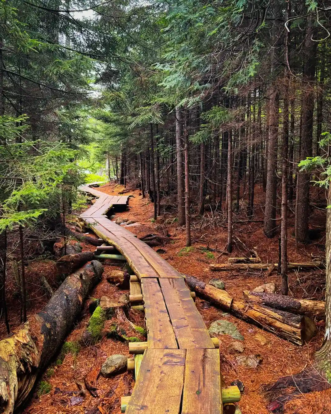 Acadia National Park