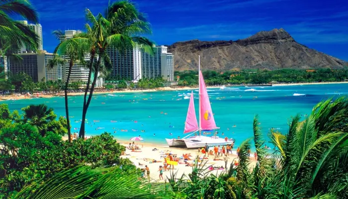 Best Resorts In Oahu For Familie's
