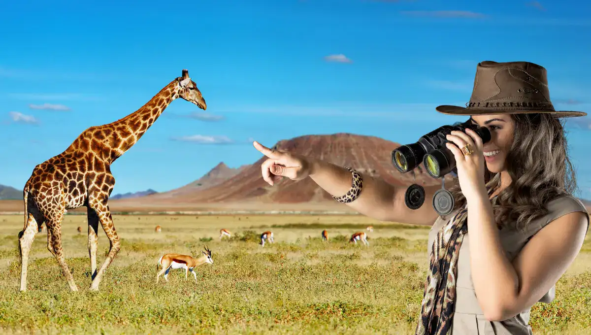 Women wearing safari hat and watching giraffe by using binocular