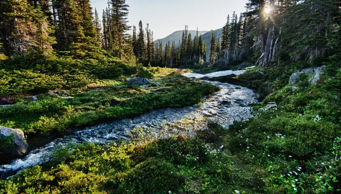 national parks in america