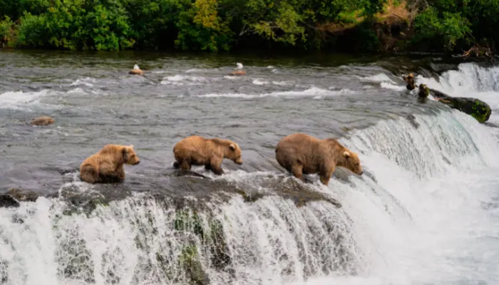 national parks in america 