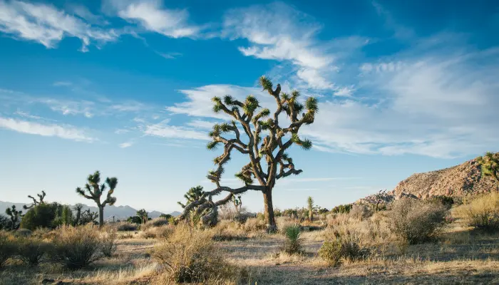 national parks in america 