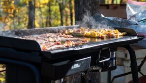 Best Camping Griddle