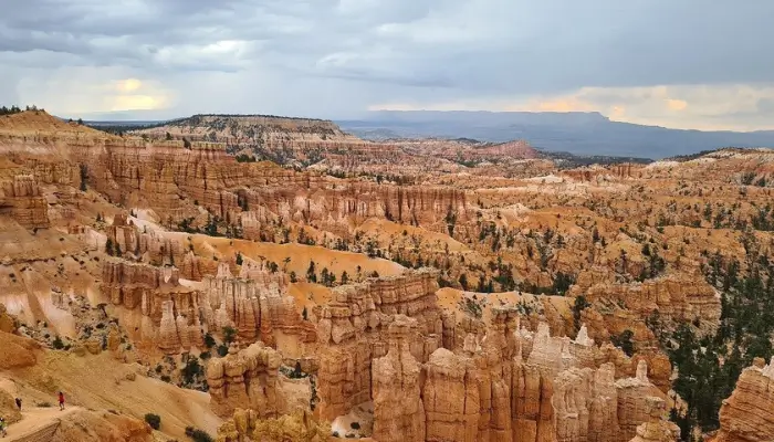 Mesa Verde National Park | Best National Parks in the United States