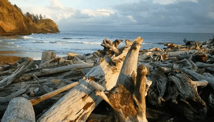 Cape Disappointment State Park | Best National Parks In Washington