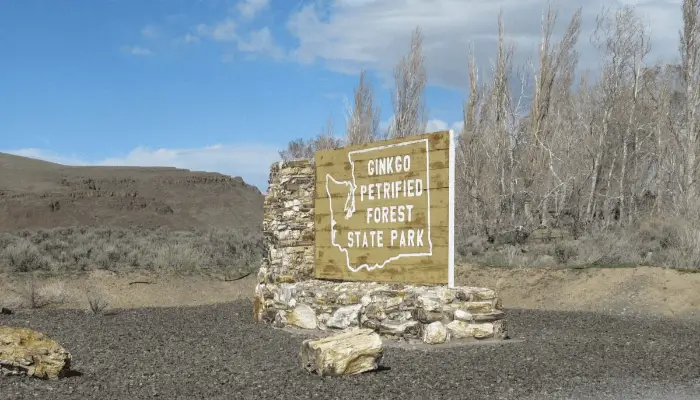 Gingko Petrified Forest State Park | Best National Parks In Washington