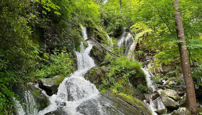 Great-Smoky-Mountains-National-Park | Best National Parks in the United States