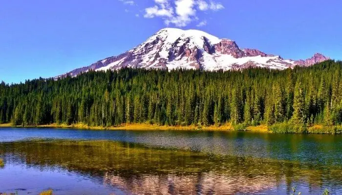 Mount Rainier National Park | Best National Parks In Washington