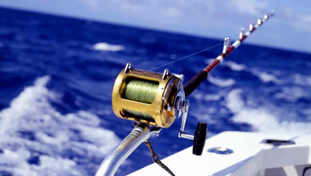 Best Travel Fishing Rods