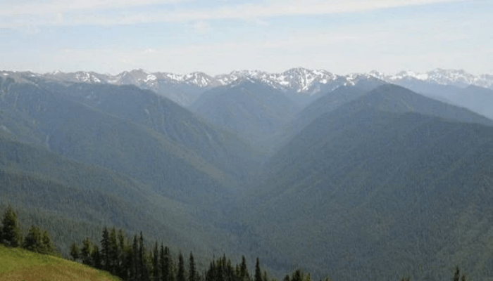 Olympic National Park | Best National Parks In Washington