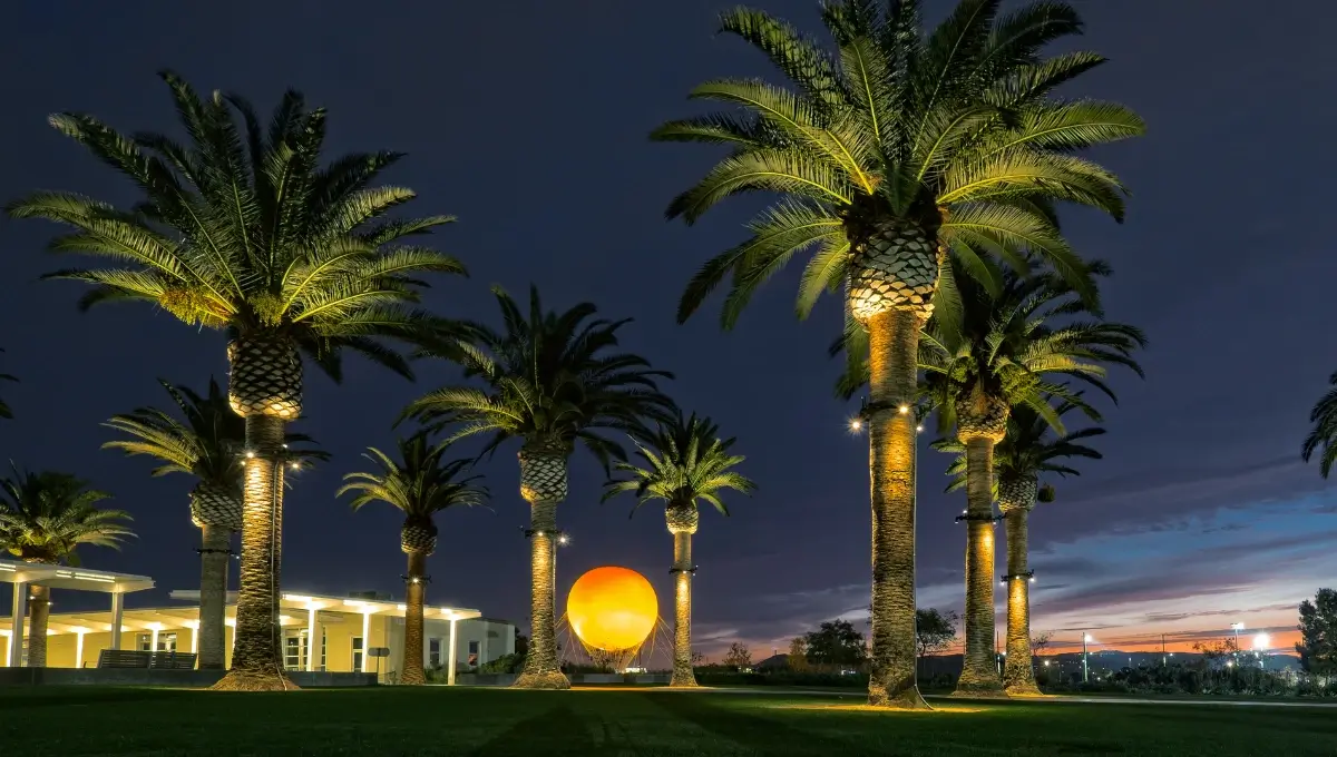 Best Things To Do In Irvine