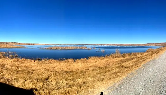 Bitter Lake National Wildlife Refuge | Best Things To Do in Roswell