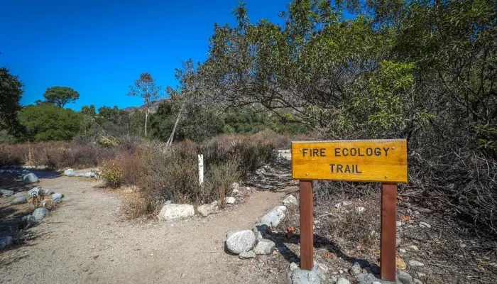 Eaton Canyon Nature Center, Best Things To Do In Pasadena