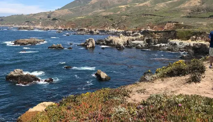 Best Monterey Beaches