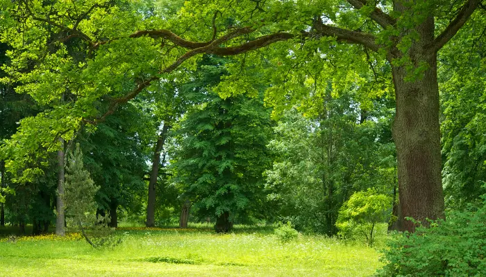 Miller Springs Nature Center is a best Things To Do in Temple