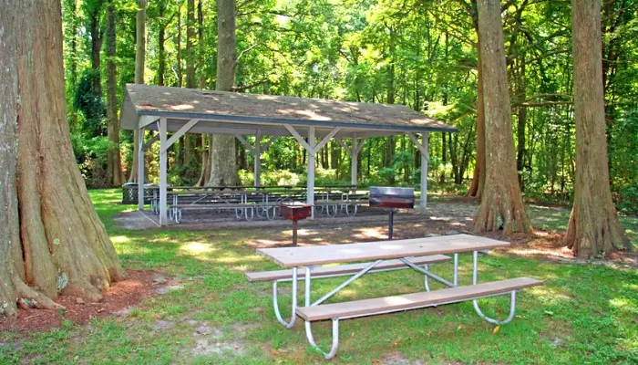 Places to Camp in North Carolina