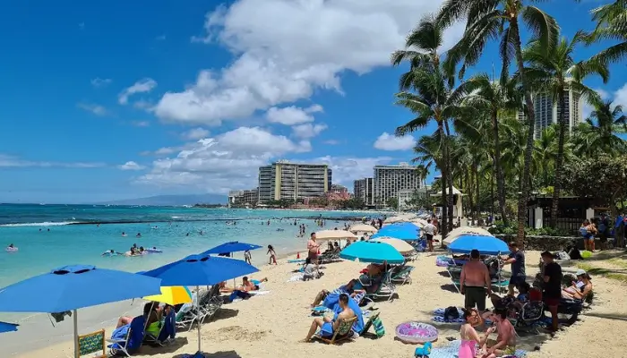 Retail therapy along Waikiki Beach, Best Tourist Attractions In Waikiki