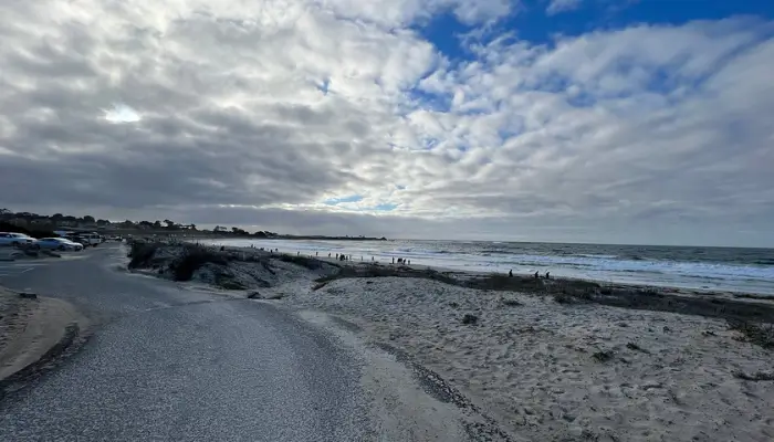 Best Monterey Beaches