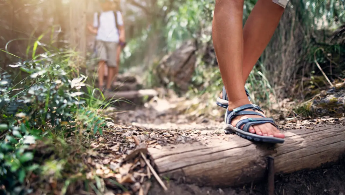 Teva Terra-Fi 2 Hiking Sandals Womens Size 7 Pink Green Outdoor Sport Shoes  6800 | eBay