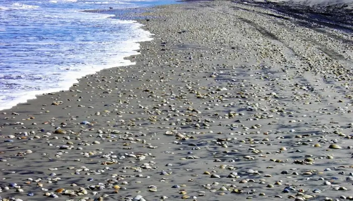 Boca Chica Beach, Best Beaches In Texas