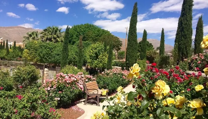  El Paso Municipal Rose Garden | Best Things To Do in El Paso