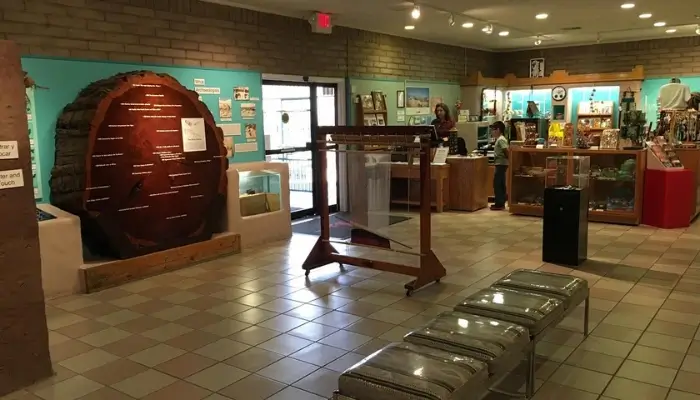 El Paso Museum of Archaeology | Best Things To Do in El Paso