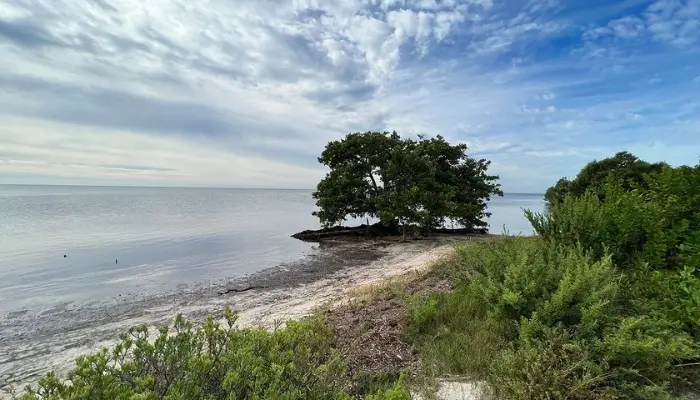 Long Key State Park (Florida Keys, Florida) | Best Beachfront RV Parks in Florida