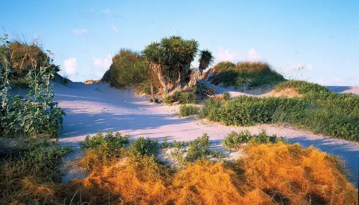 Matagorda Bay Nature Park, Best Beaches In Texas