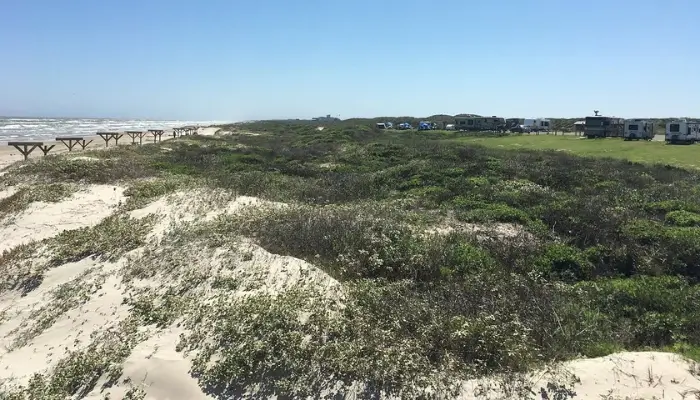 Padre Island National Seashore, Best Beaches In Texas