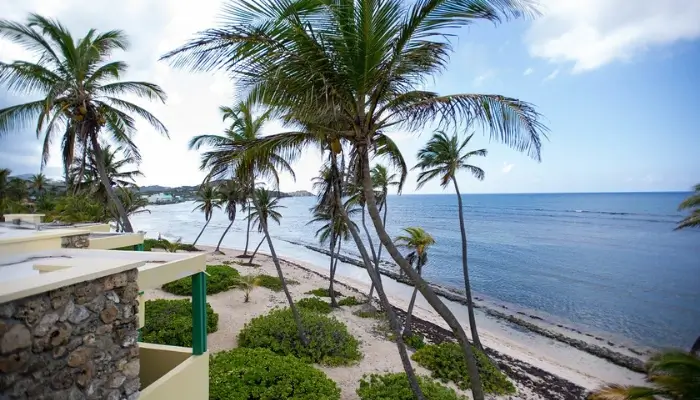 The Palms at Pelican Cove | Best Resorts in The Virgin Islands