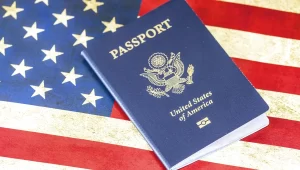 What Is Travel Document Number & Passport Document Number