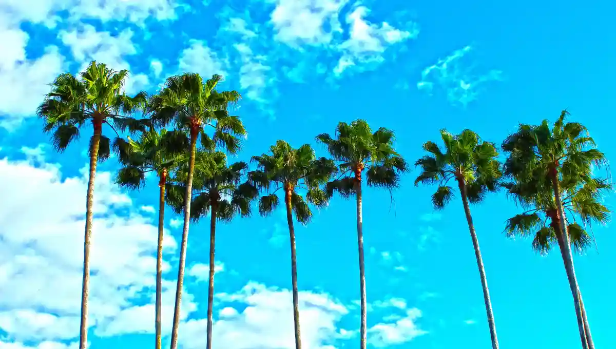Best Florida Vacation Spots
