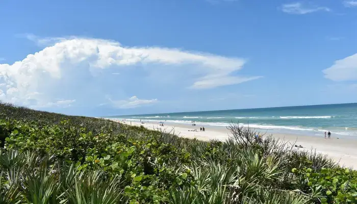Beach At Canaveral National Seashore | Best Beaches in Florida