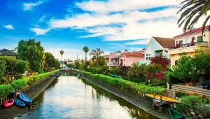 Best Things to Do in Venice, California