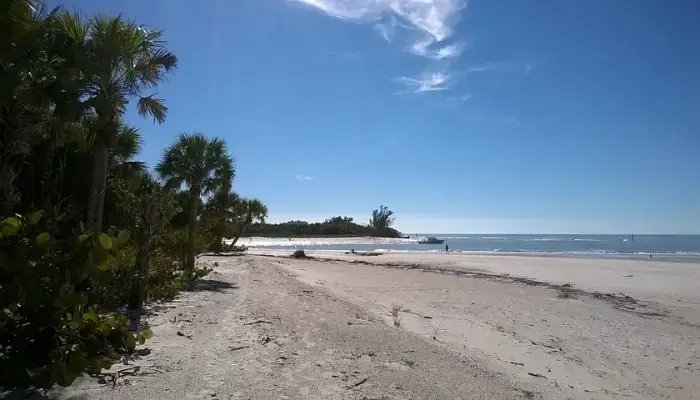  Bunche Beach Preserve At San Carlos Bay | Best Beaches in Florida