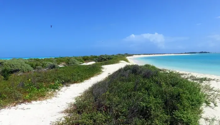 Garden Key - Dry Tortugas National Park, Florida | Best Scenic Places to Camp in the United States