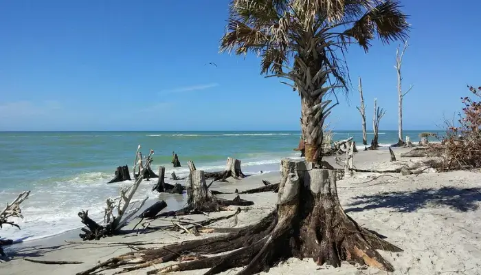 Stump Pass Beach State Park | Best Beaches in Florida