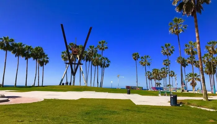 Venice Beach | Best Things to Do in Venice