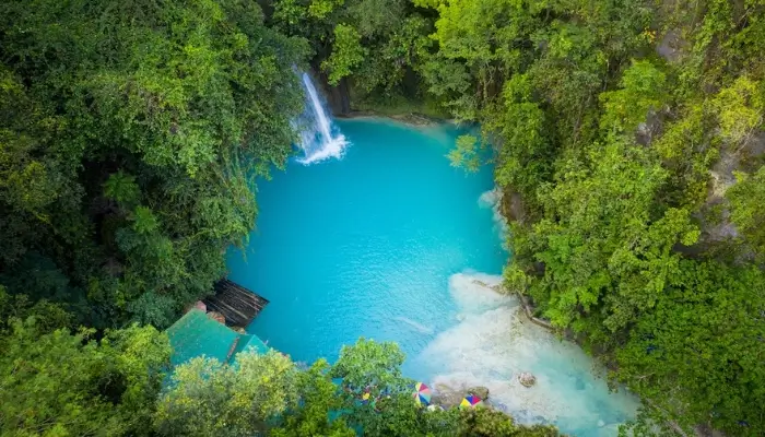 Kawasan Falls, Cebu Island, Philippines | Most Beautiful Waterfalls in the World