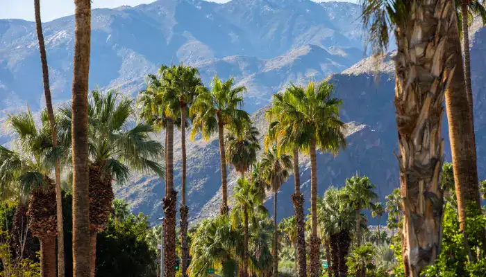 Palm Springs, California