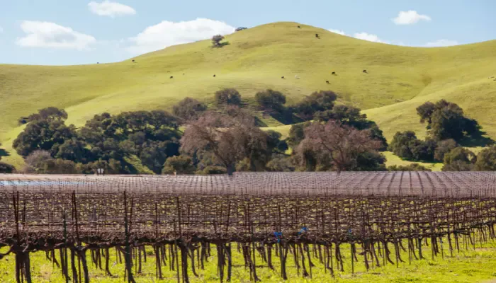 Santa Ynez Valley, California 