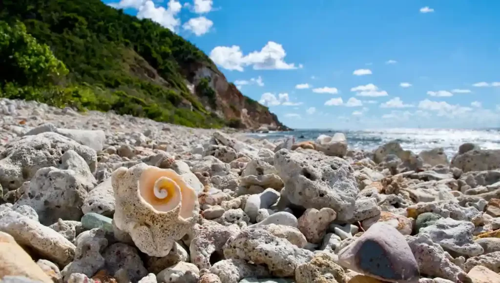 Virgin Islands National Park | Best national parks in the USA to visit in summer