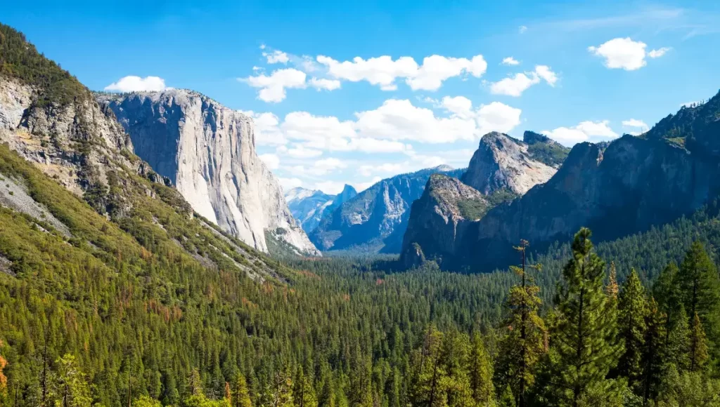 Yosemite National Park, CA | Top family-friendly destinations in the USA