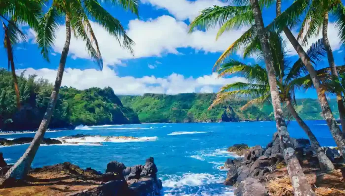Best time to visit Hawaii