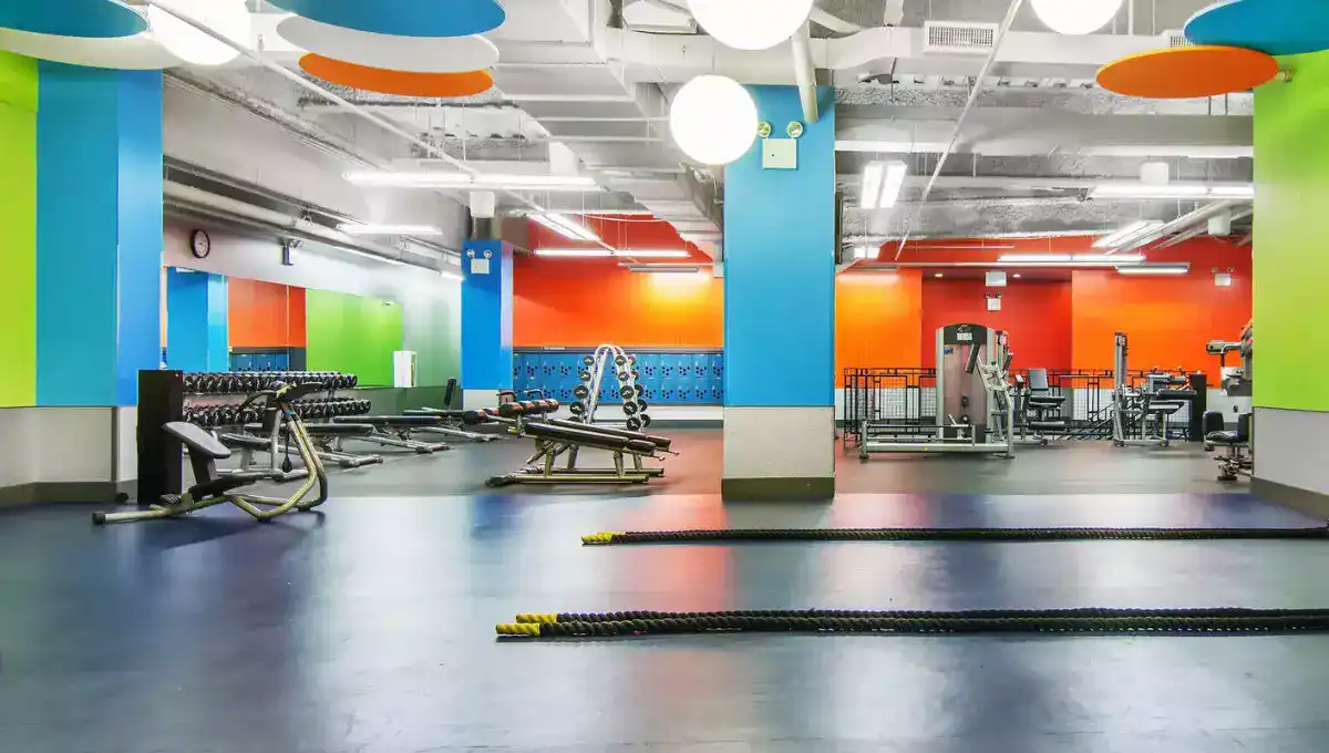 Blink Fitness | Incredible Gyms in NYC That Provide One-Day Passes