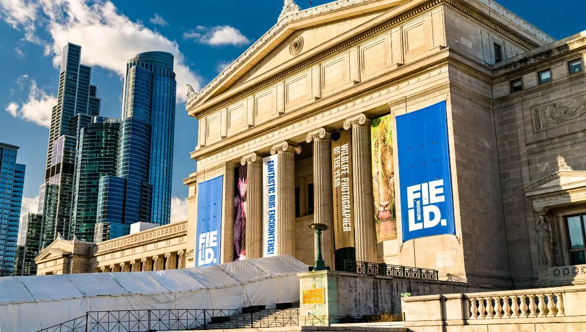 Field Museum of Natural History | Top tourist attractions in Chicago