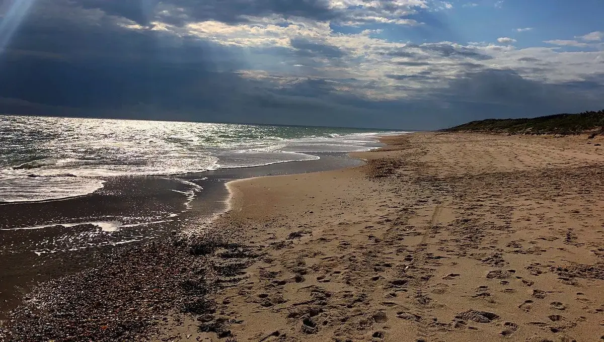 Beach At Canaveral National Seashore | Most beautiful beaches in Florida